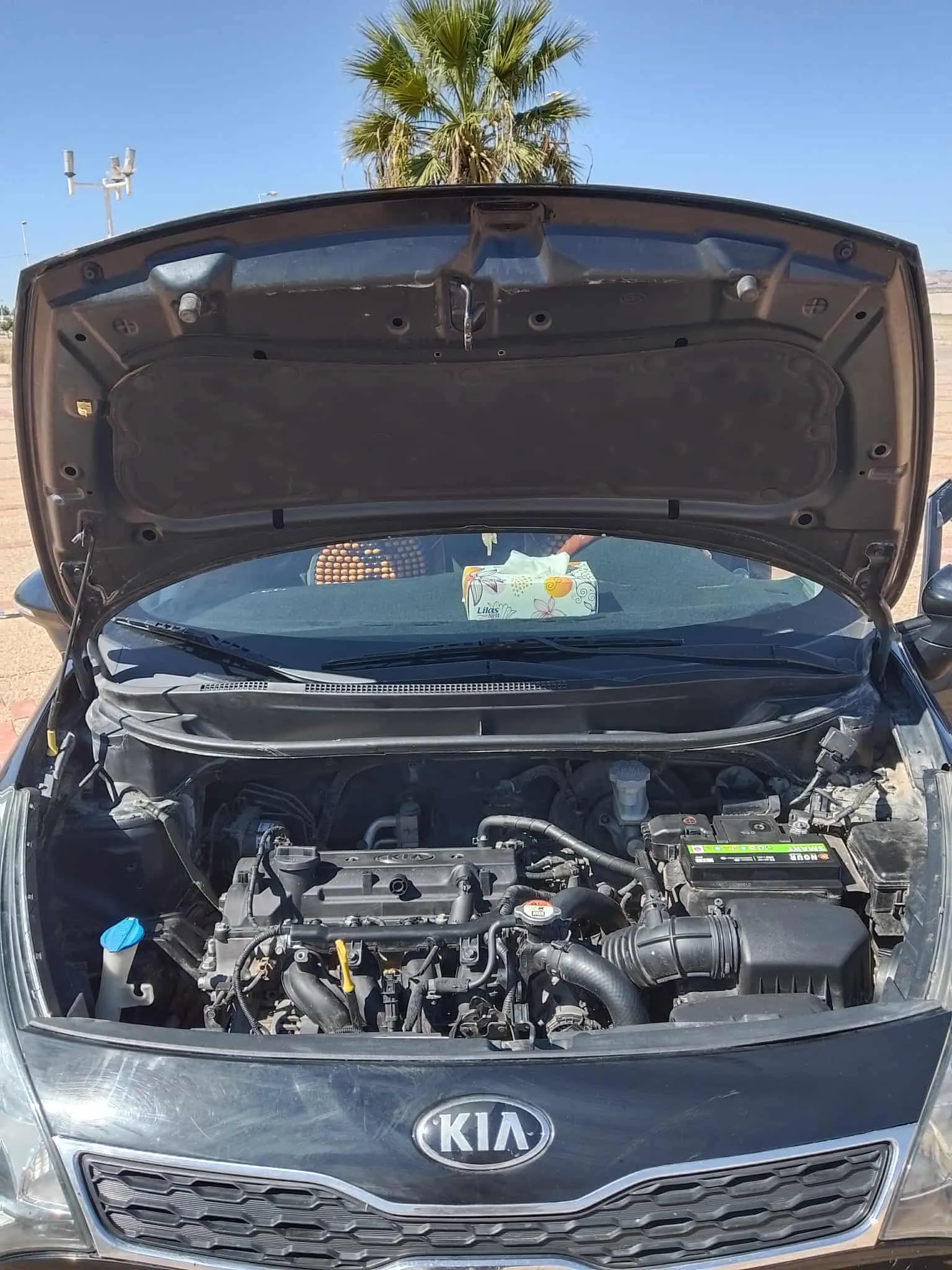 KIA RIO TOUTE OPTION disponible à Siliana  contacter directement : 98553120