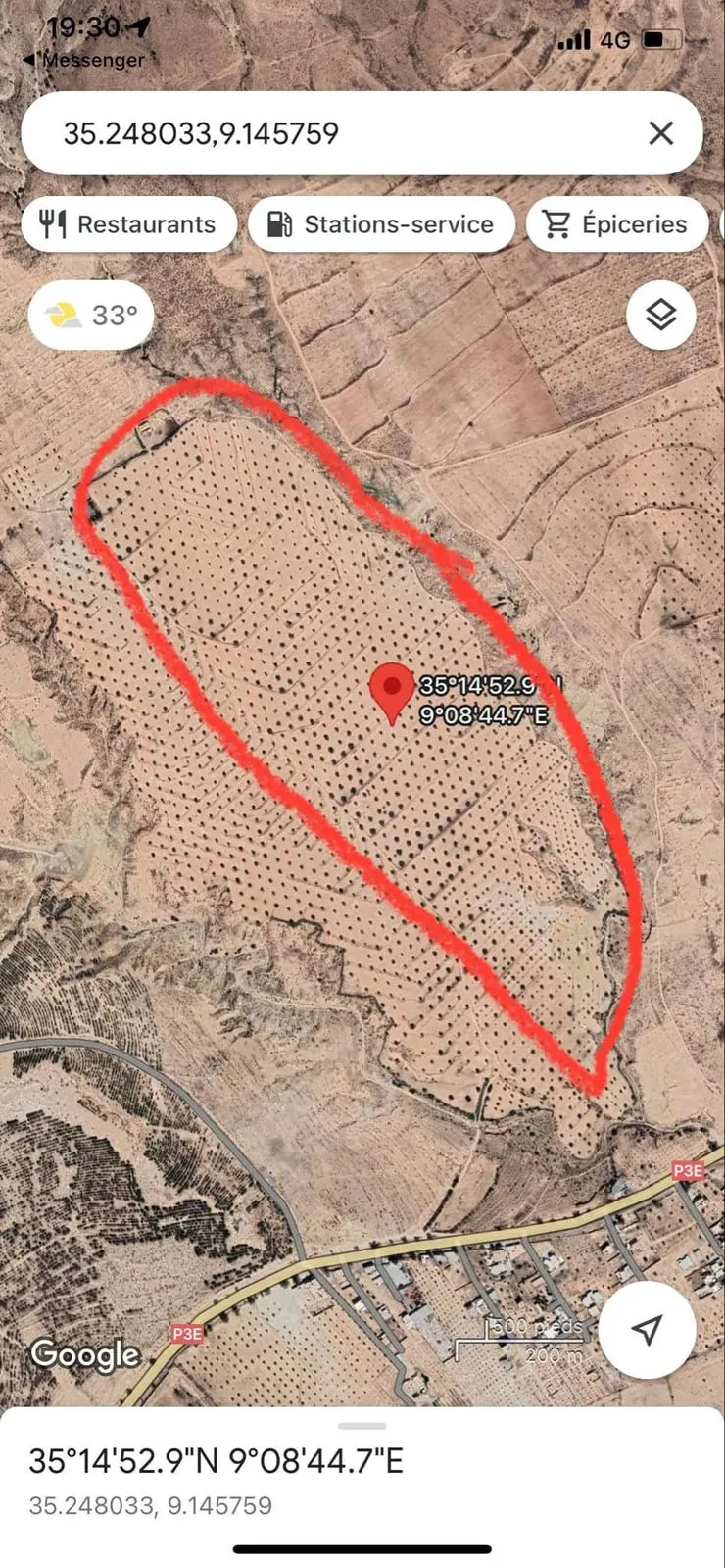  فرصة ذهبية للبيع terrain avec 1200 oliviers