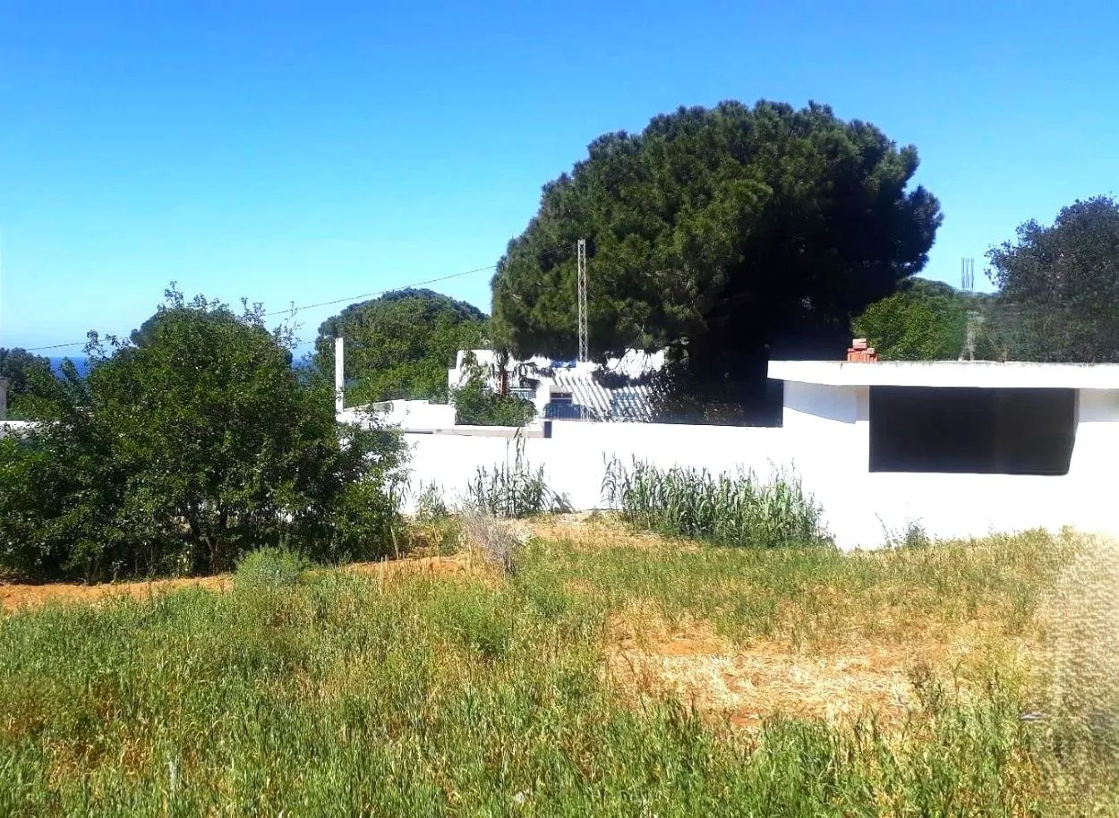 🏔 Terrain 500 m2 a rafraf plage lahmeri⛺️