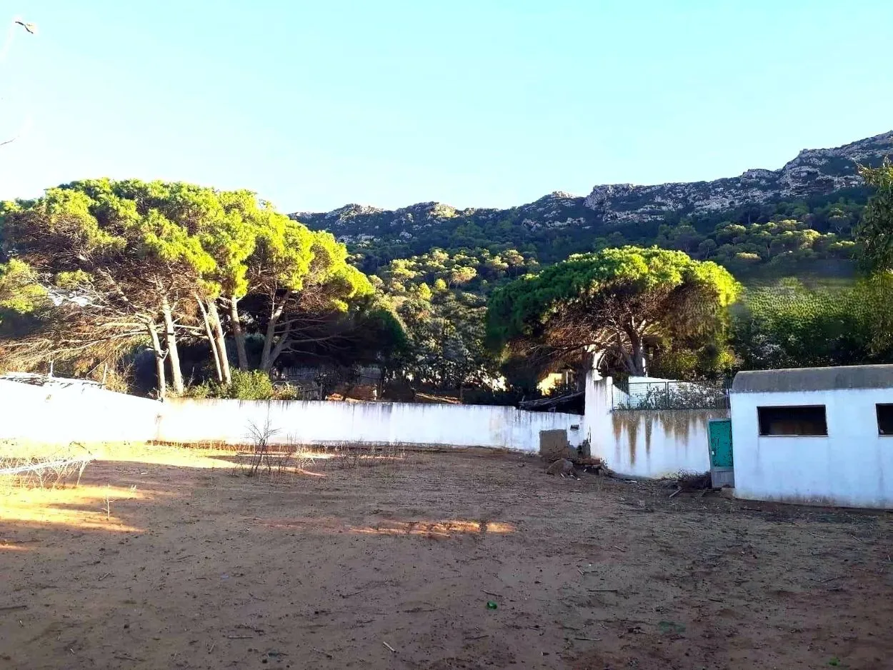 🏔 Terrain 500 m2 a rafraf plage lahmeri⛺️