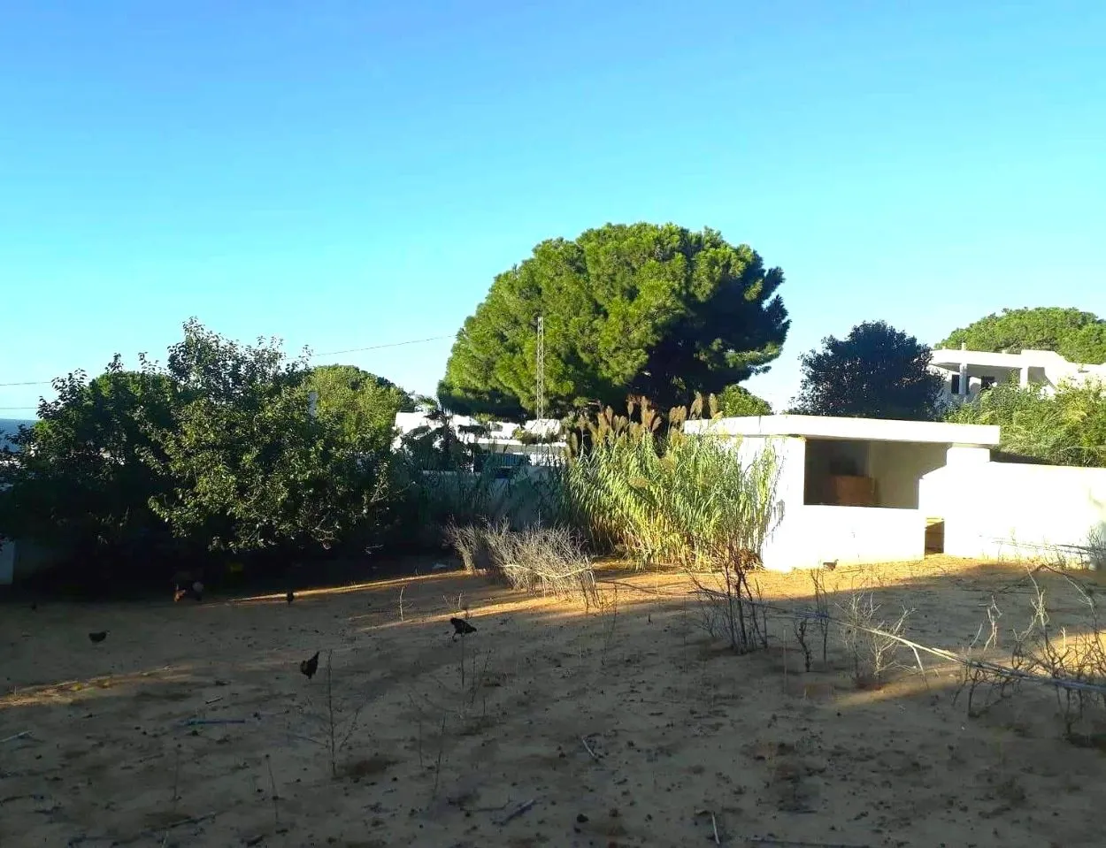 🏔 Terrain 500 m2 a rafraf plage lahmeri⛺️