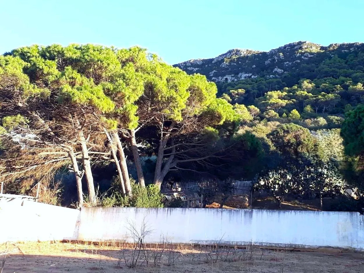 🏔 Terrain 500 m2 a rafraf plage lahmeri⛺️