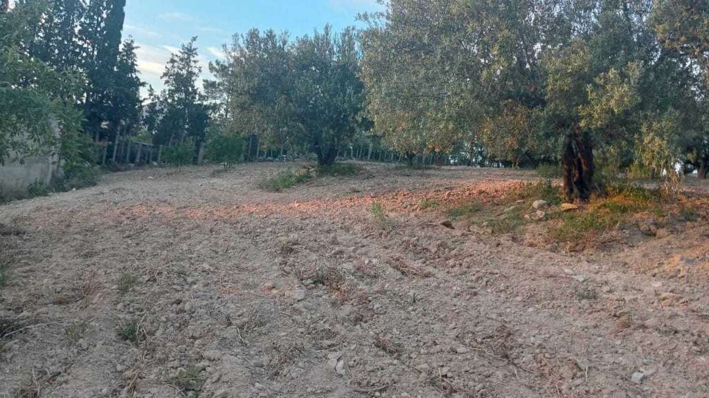 أرض للبيع 