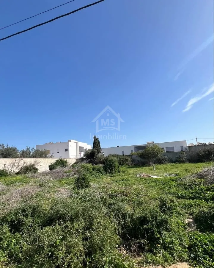 Un terrain de 650 m² dans la zone de Sidi Mahressi à vendre 51355351