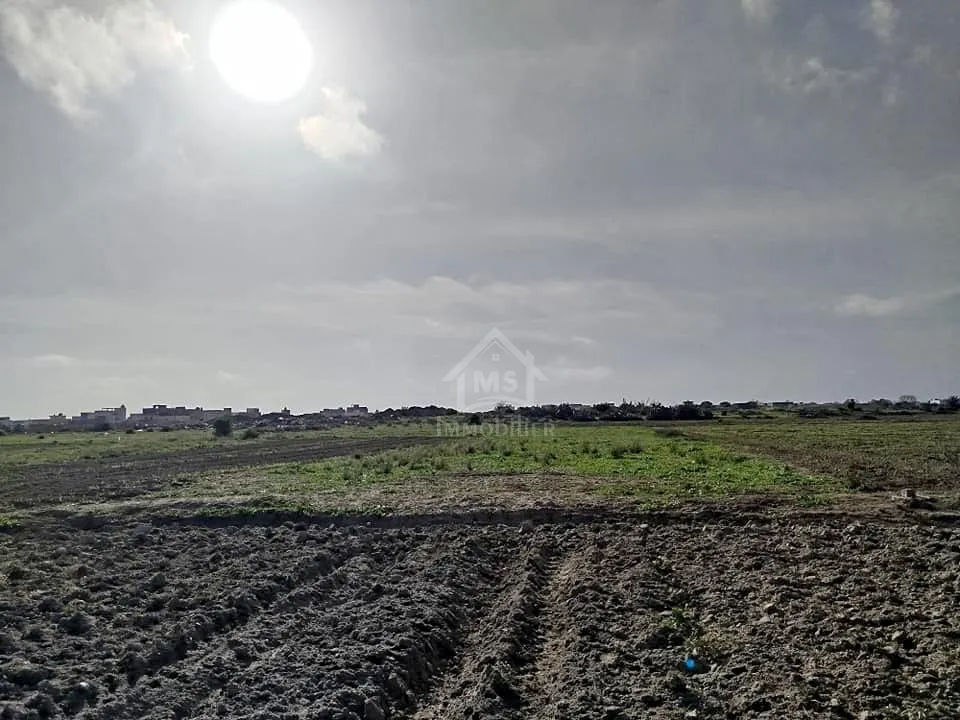 Un terrain de 669 m² à Maamoura à vendre 51355351