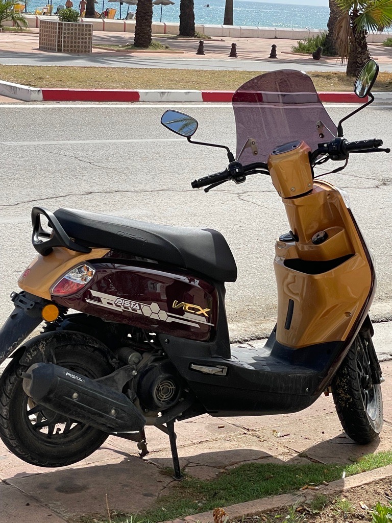 Pısta 110  vcx neuf avec carte grıs