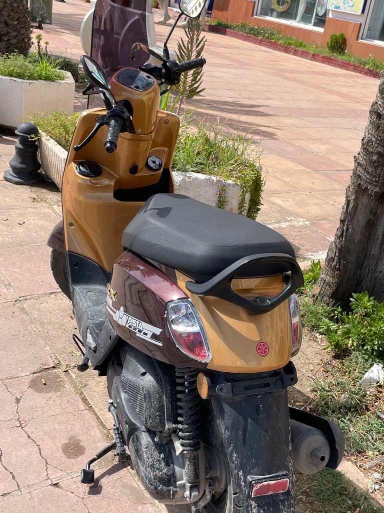 Pısta 110  vcx neuf avec carte grıs