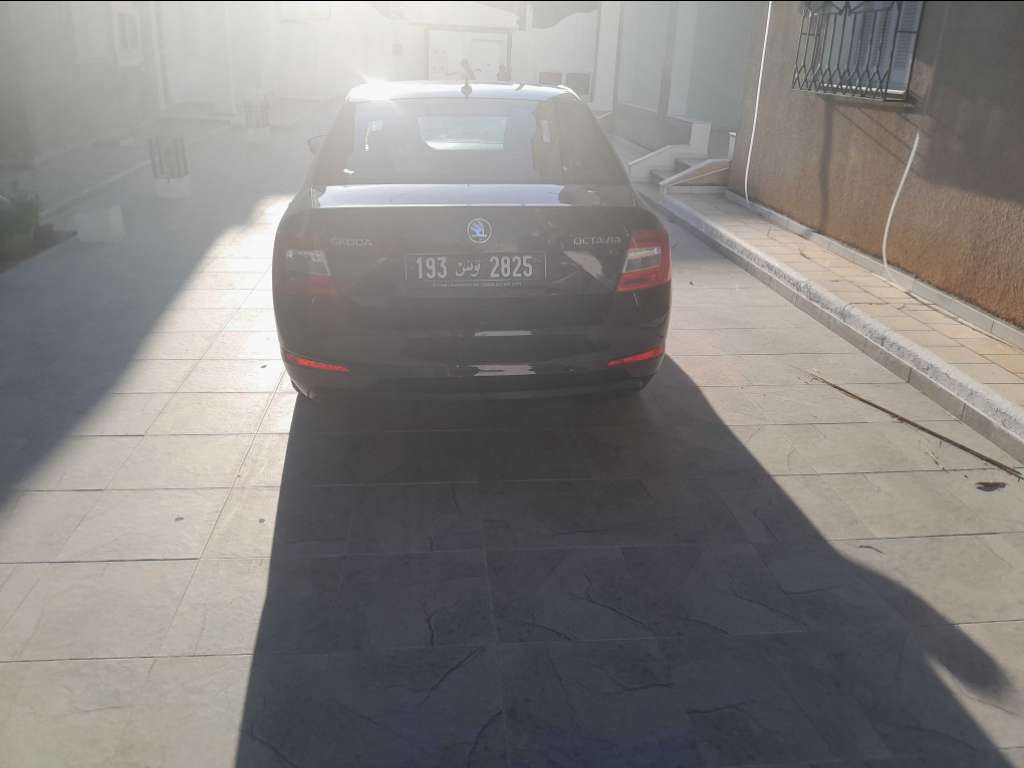 Skoda octavia style