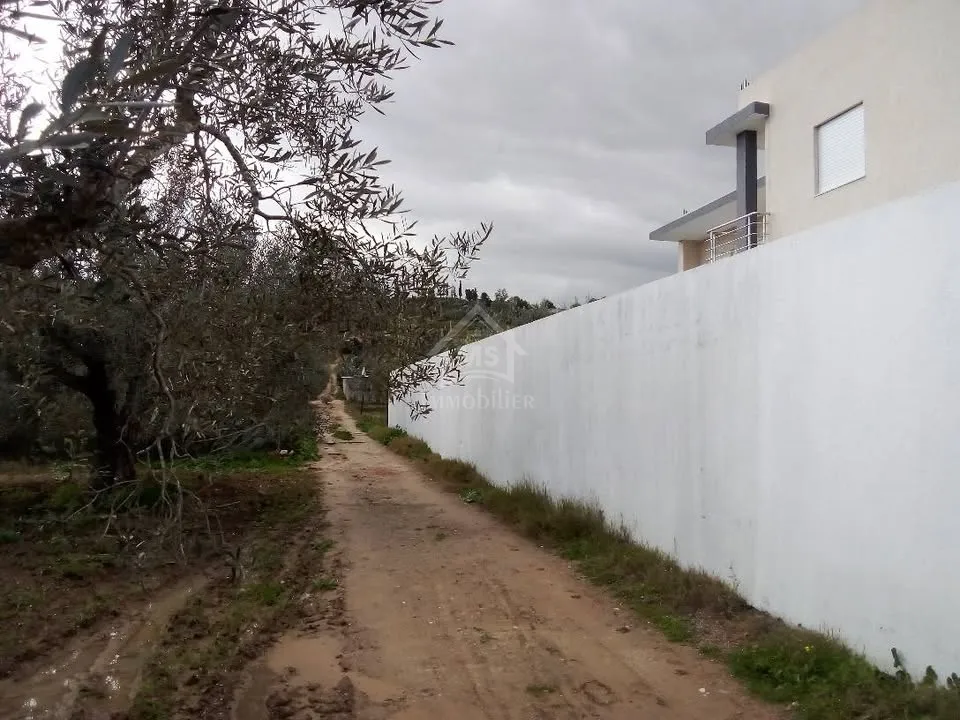Un terrain de 220 m² à Birbouragba à vendre 51355351