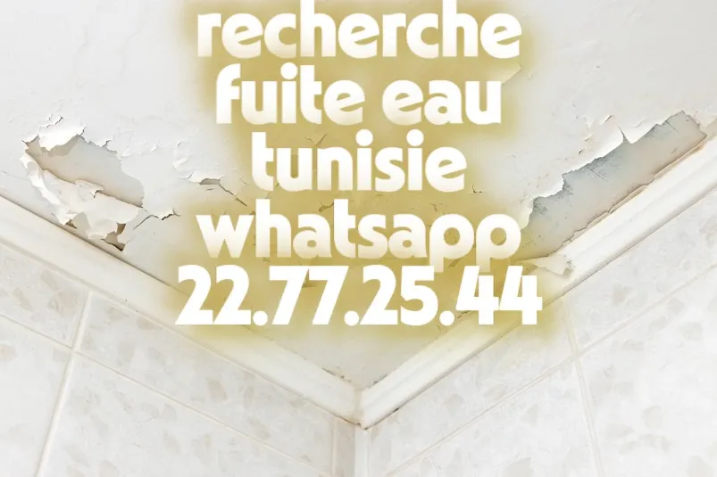 recherche tous types de fuites tunisie