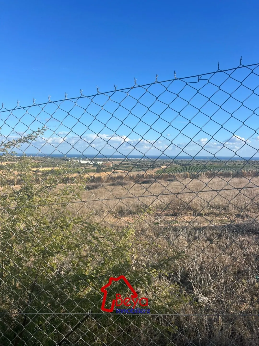 2 HECTARES à vendre