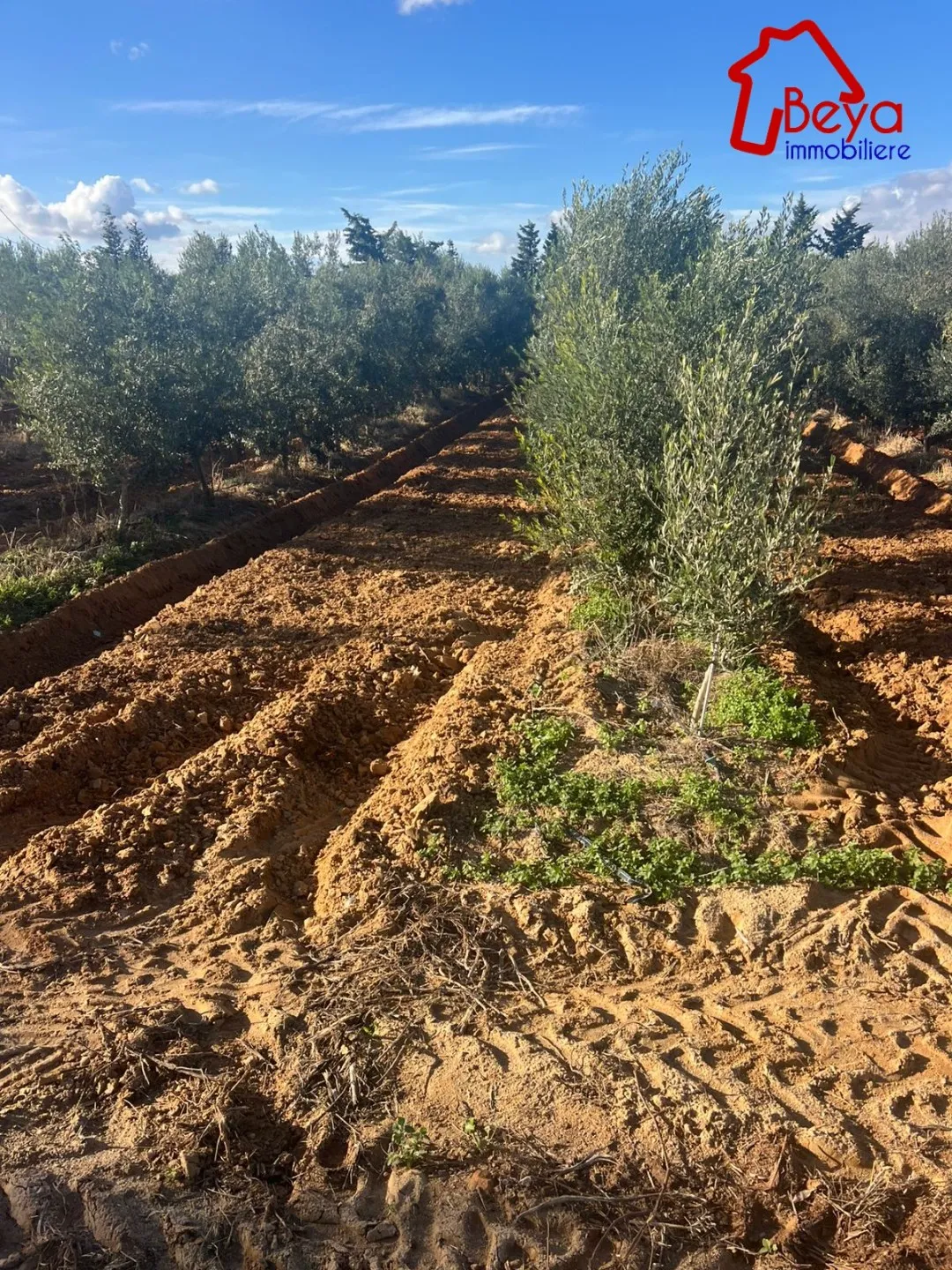 2 HECTARES à vendre