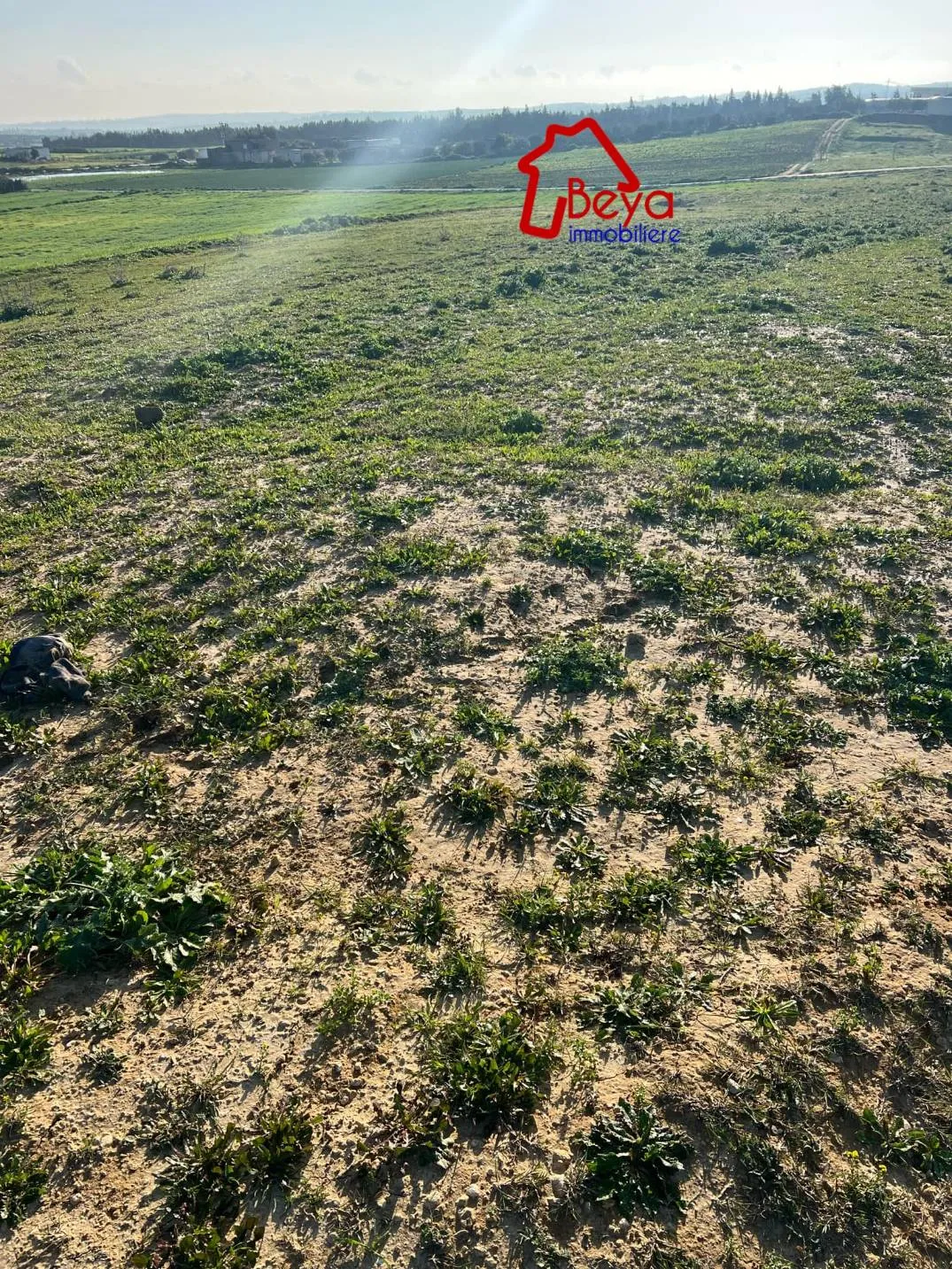 terrain POINTE VTM011