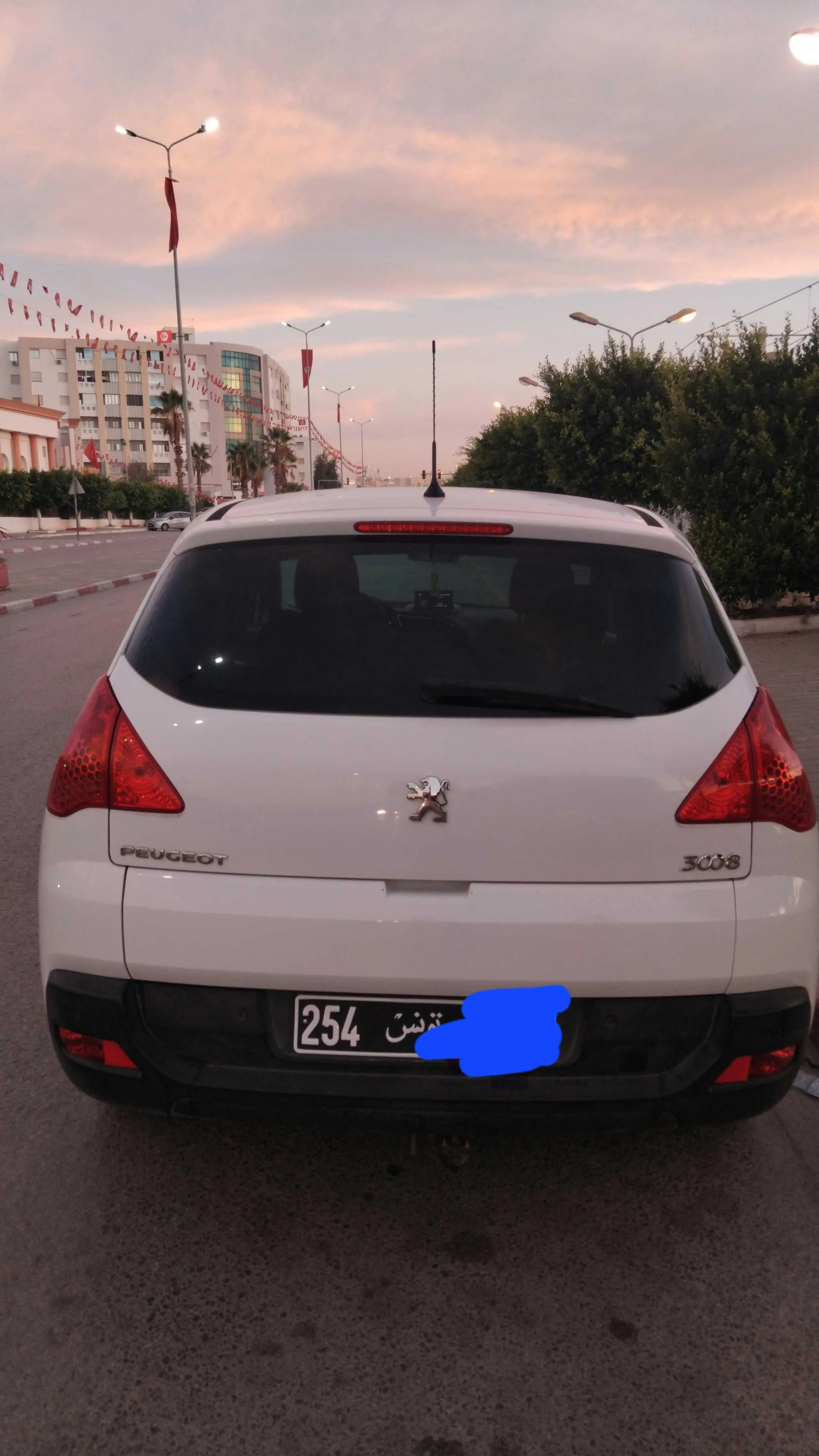 3008 HDI1.6  TU254