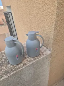 Lot de 2 thermos 