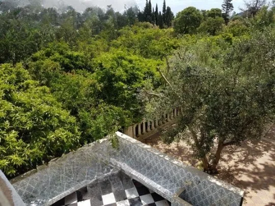 Maison de campagne 5000 m² Ras jebel