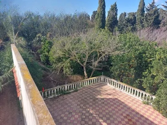Maison de campagne 5000 m² Ras jebel