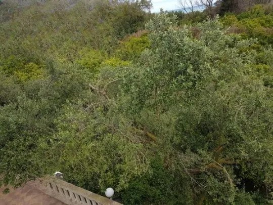 Maison de campagne 5000 m² Ras jebel