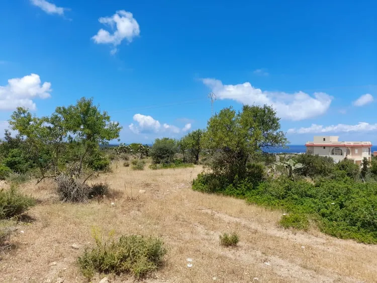 Terrain a raf raf 9300m²