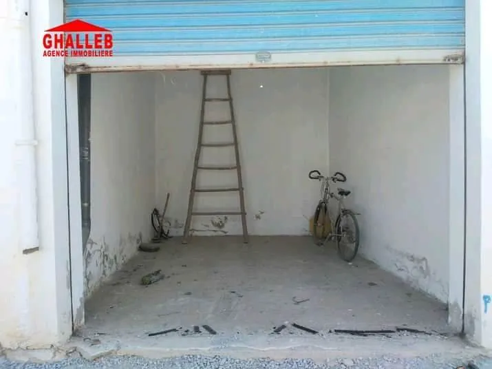 maison avec studio et garage 29730412