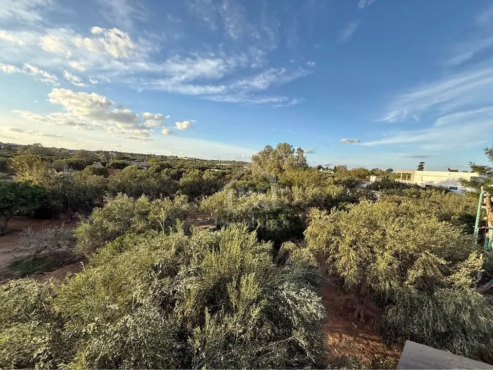 Terrain de 500 m² à daroufaa à vendre 51355351