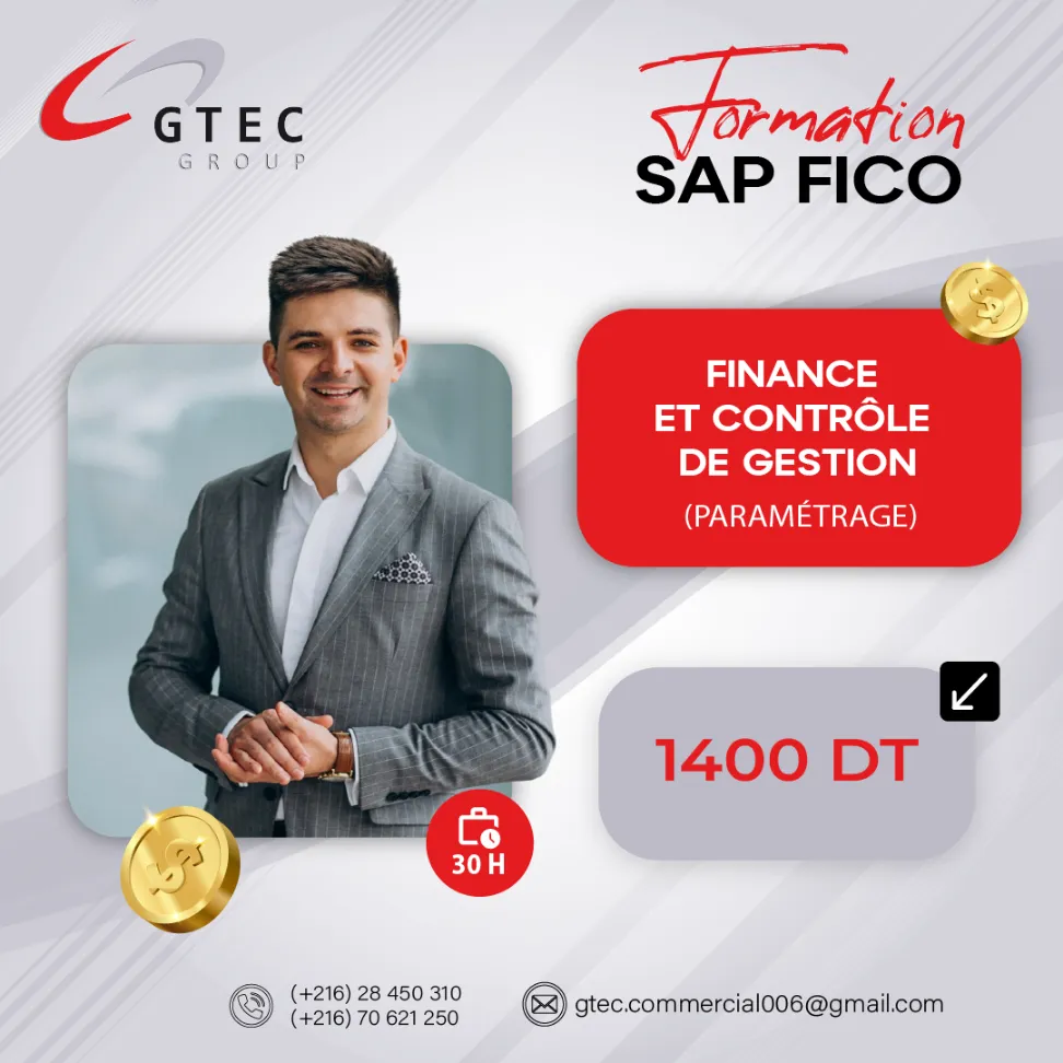 SAP Fico Paramétrage : Configurer sur SAP S/4HANA