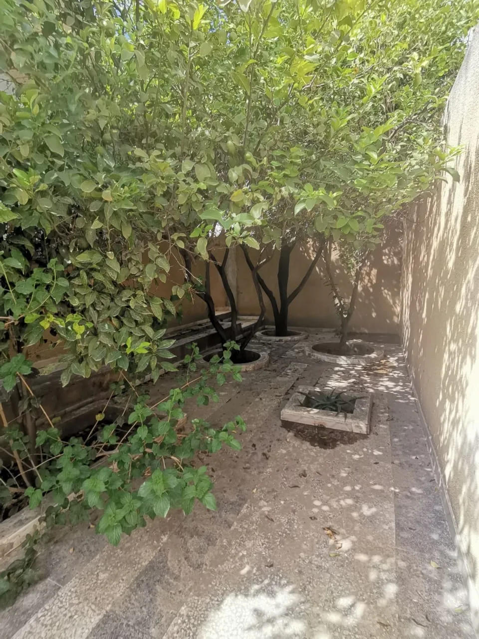 A louer s+3 a cité Sahafa