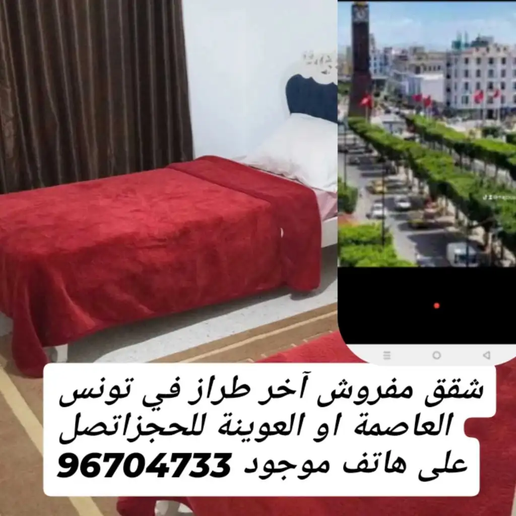 شقق مفروش آخر طراز في تونس العاصمة شارع لحبيب برقيب او العوينة 