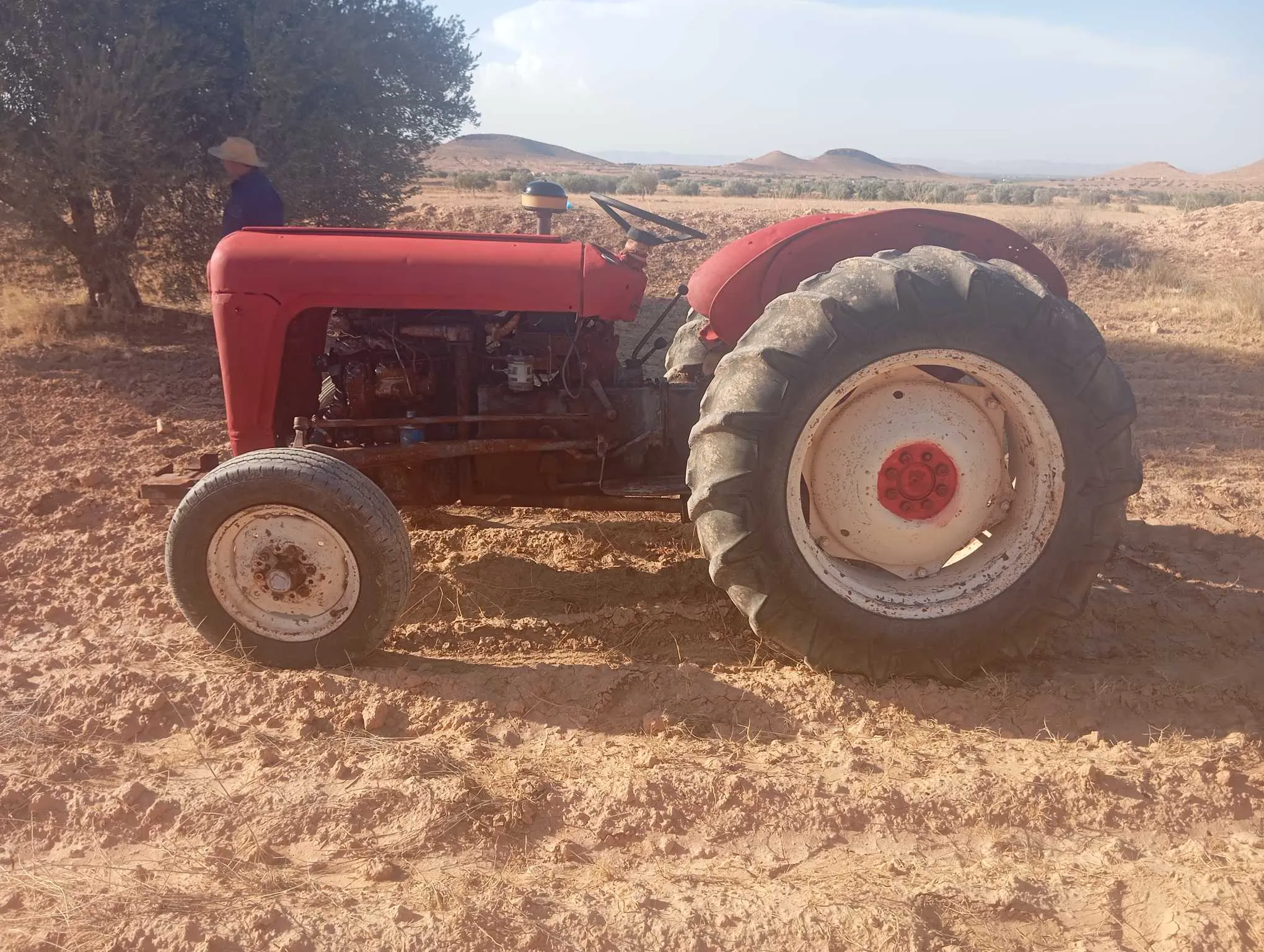 Tracteur Massey Ferguson 35 avec charrue