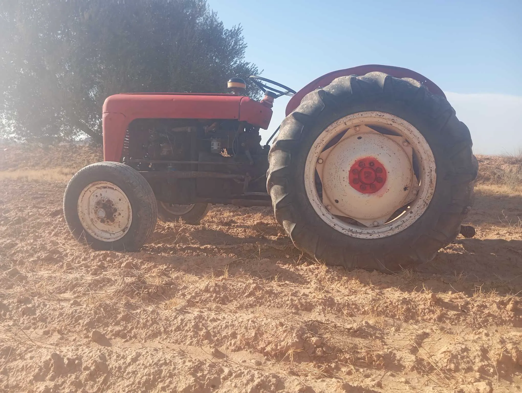 Tracteur Massey Ferguson 35 avec charrue