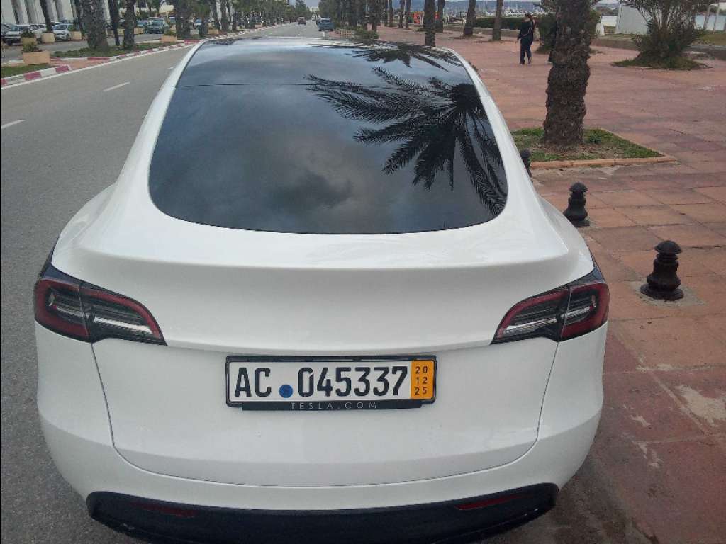 Tesla Model Y SUV Electrique importé 🇩🇪