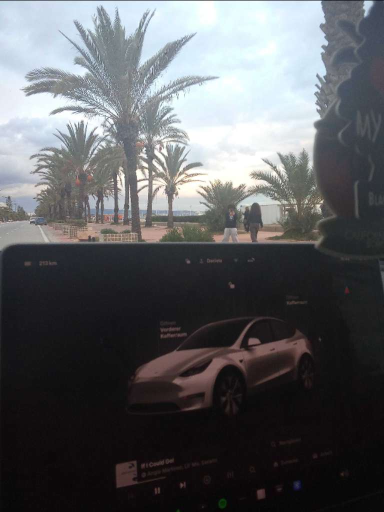 Tesla Model Y SUV Electrique importé 🇩🇪