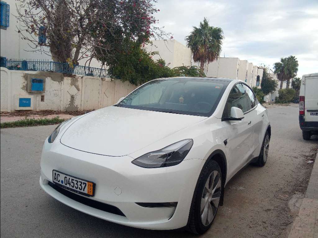 Tesla Model Y SUV Electrique importé 🇩🇪