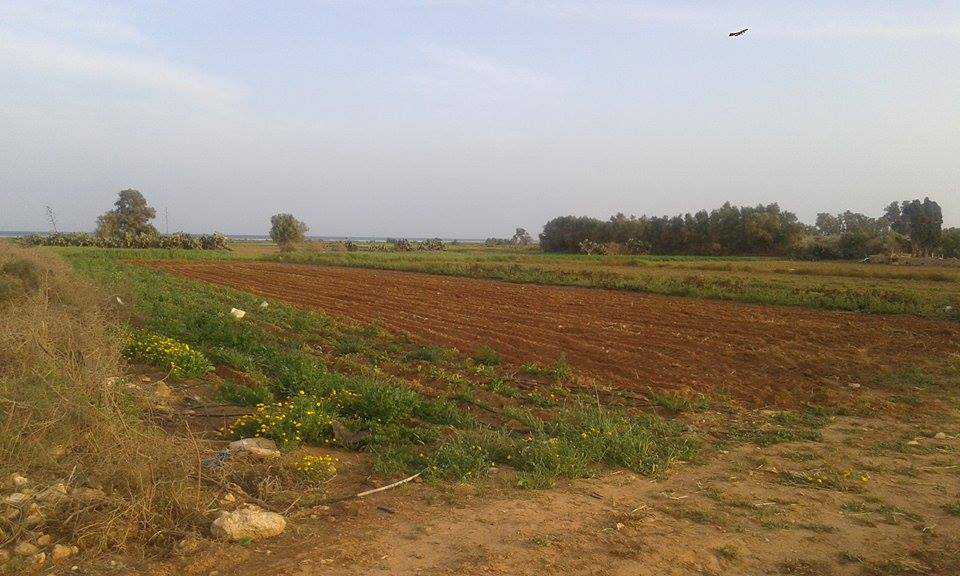 Affaire à ne pas rater Terrain a daroufa Maamoura Nabeul 1022m²