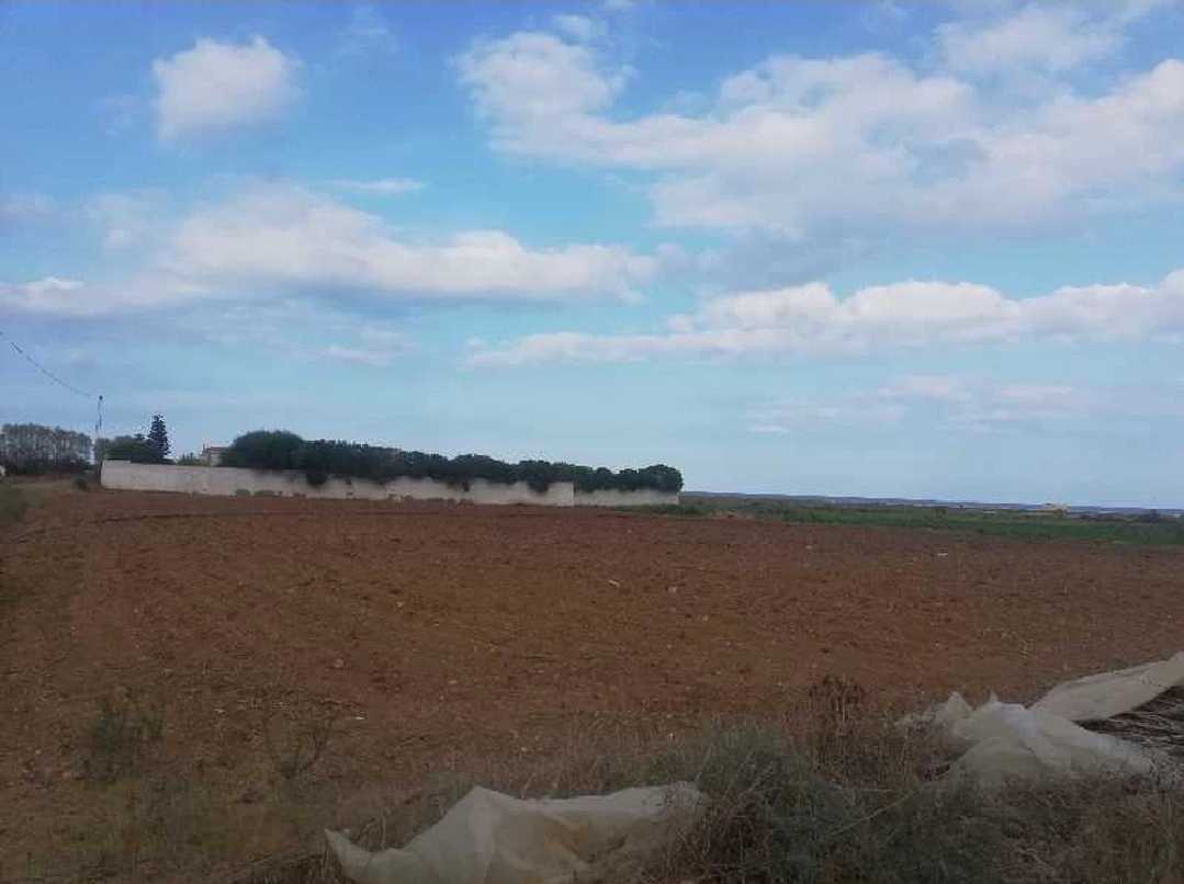 Affaire à ne pas rater Terrain a daroufa Maamoura Nabeul 1022m²