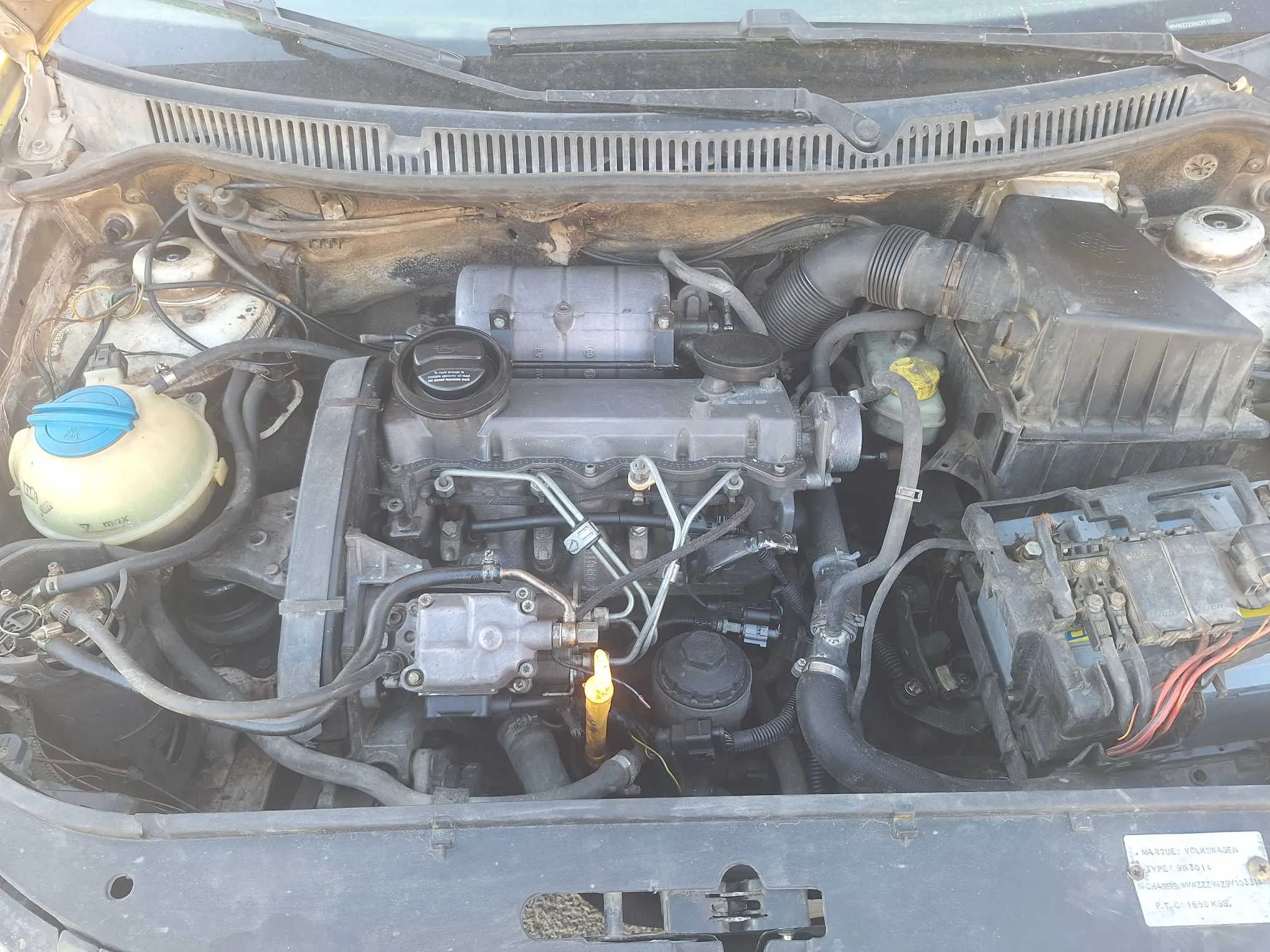 Polo 6 