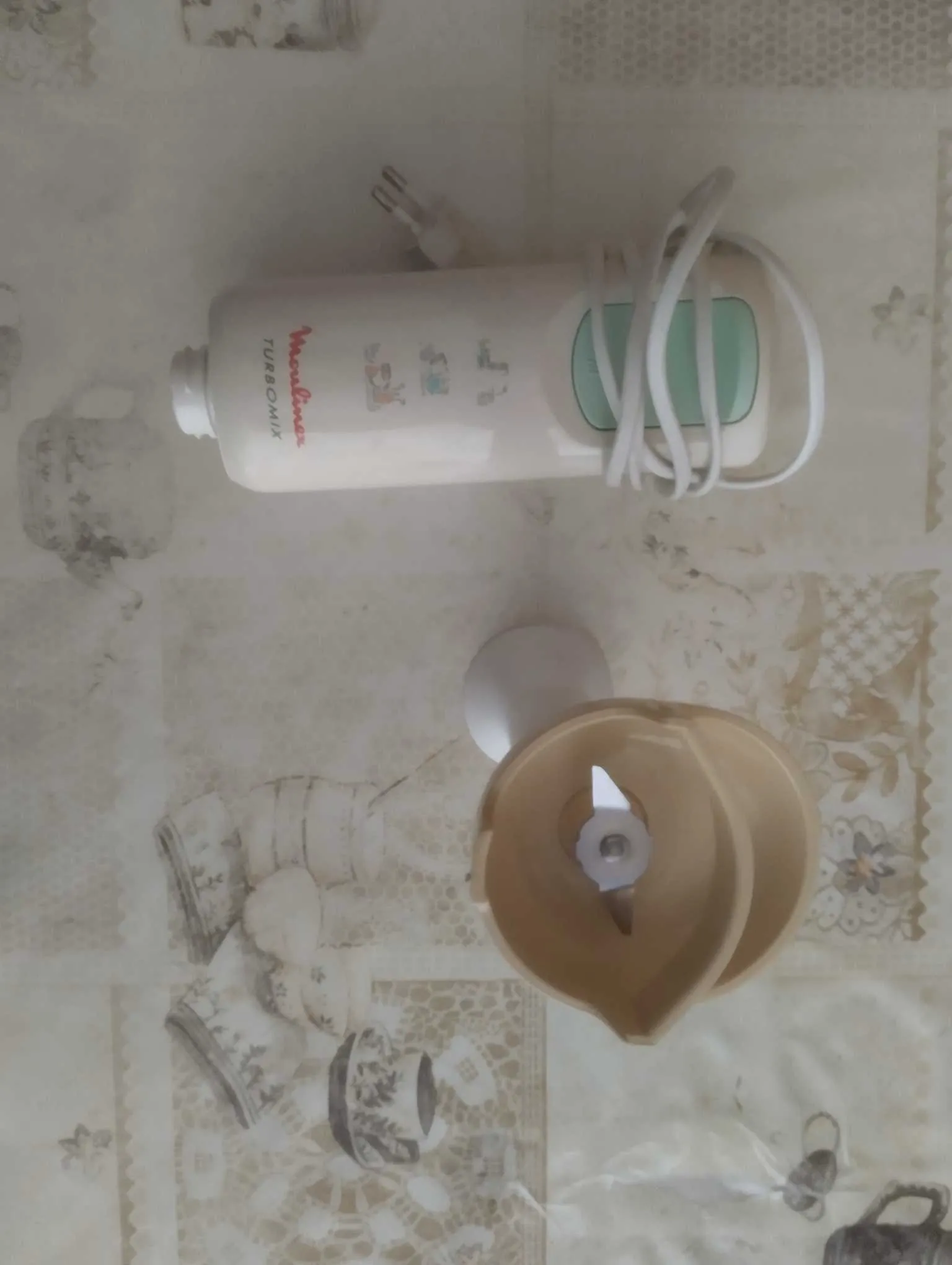 Mixeur plongeur Seb. 