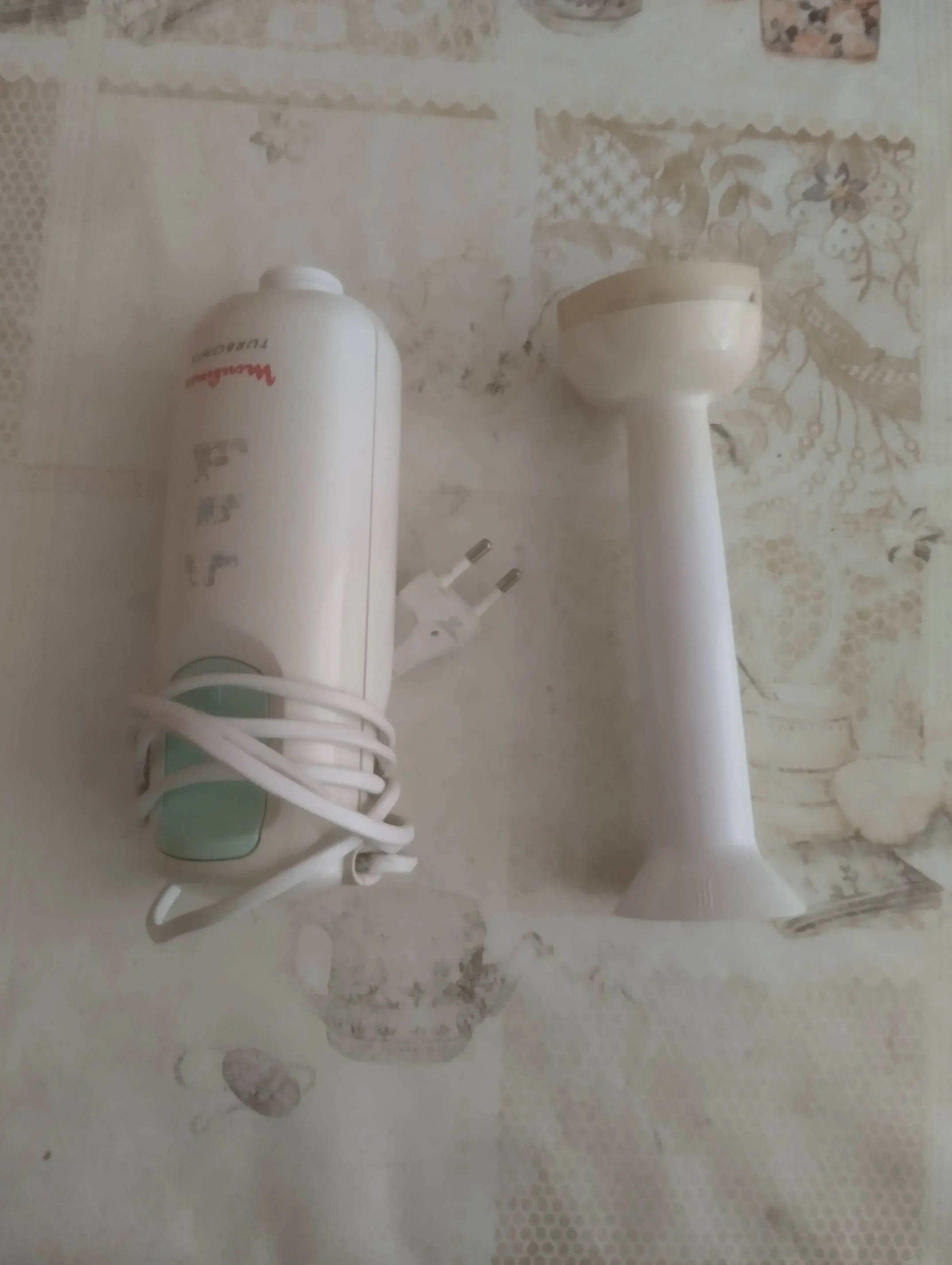 Mixeur plongeur Seb. 