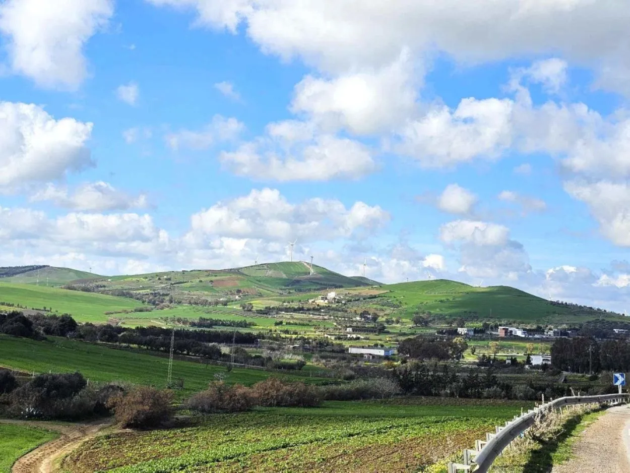 🏔Terrain 1 hect a rafraf ⛺️