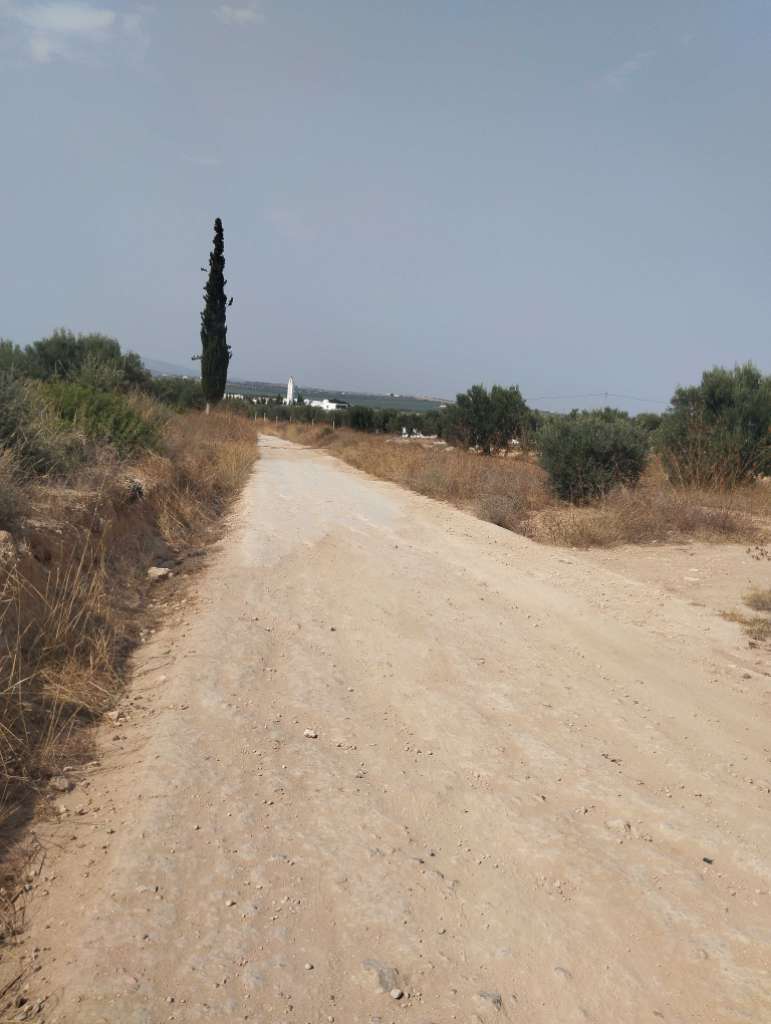 Terrain 600m²