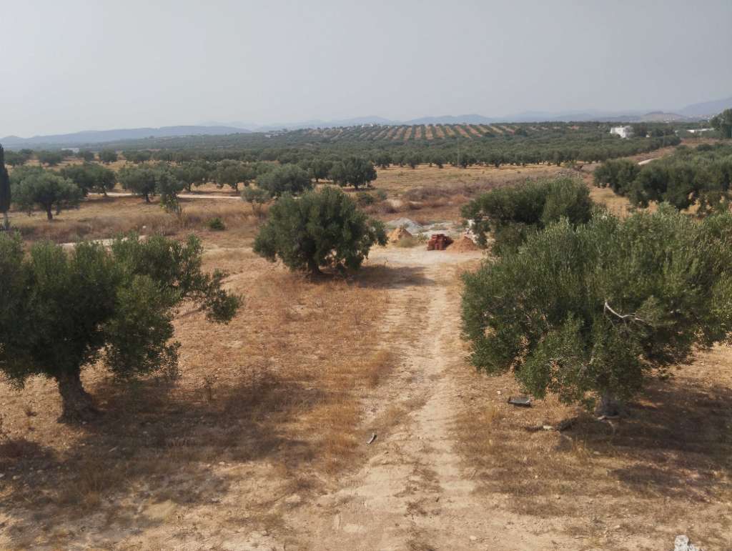 Terrain 600m²