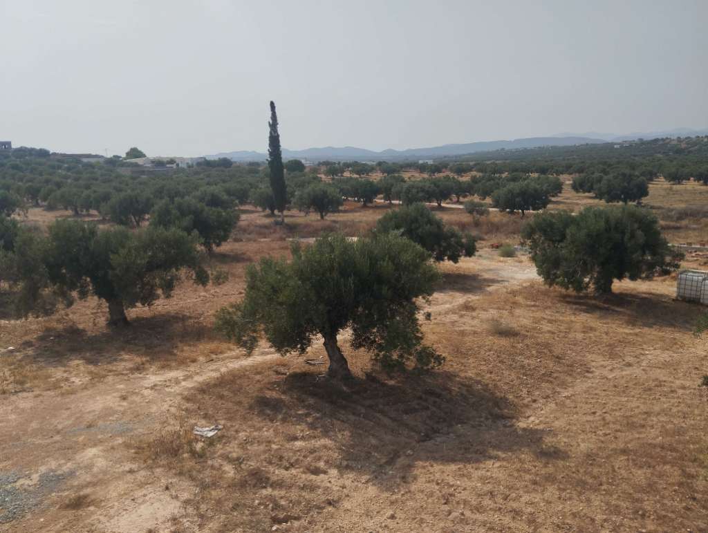 Terrain 600m²