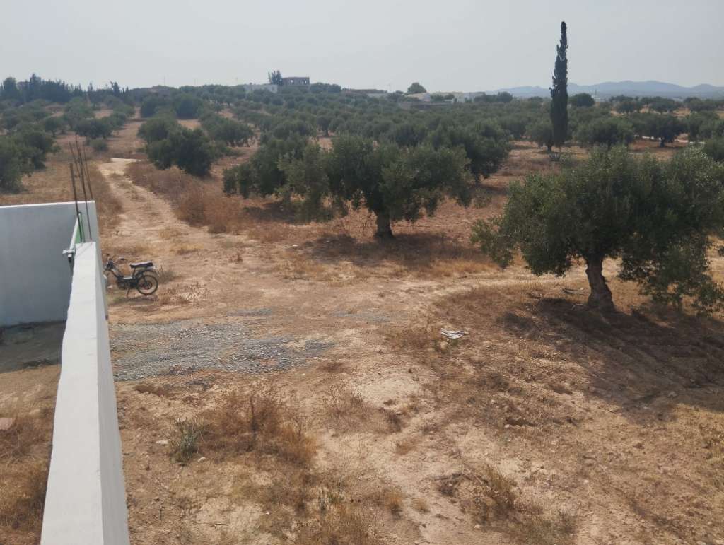 Terrain 600m²