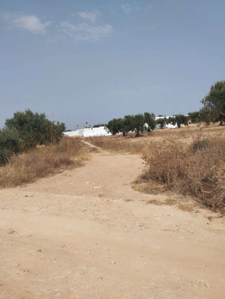 Terrain 600m²