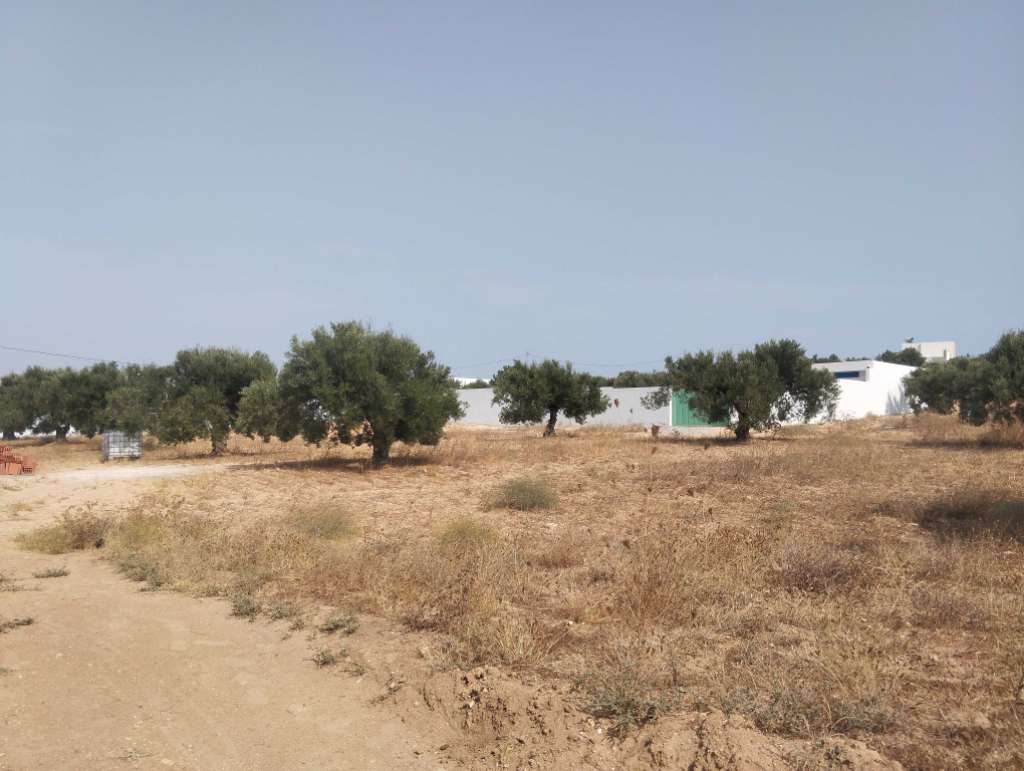 Terrain 600m²