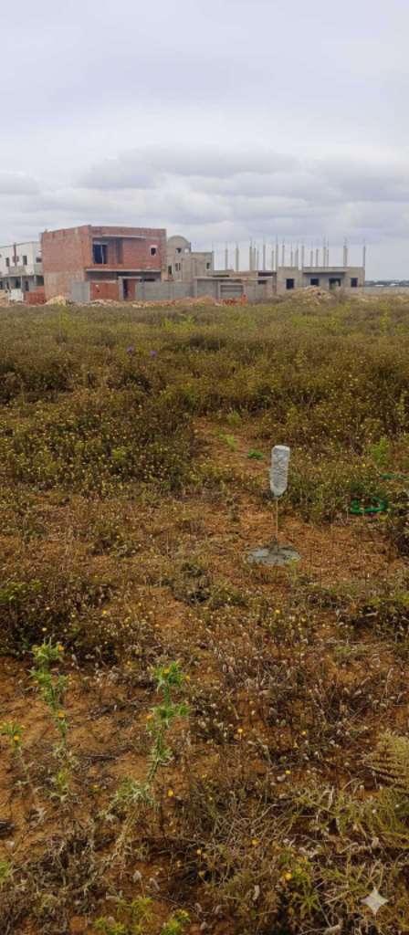 فرصة استثمارية 