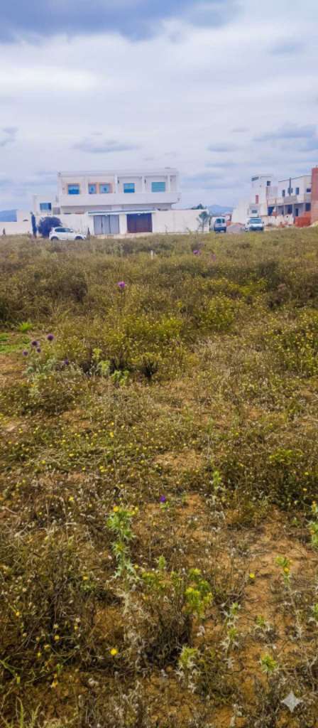 فرصة استثمارية 