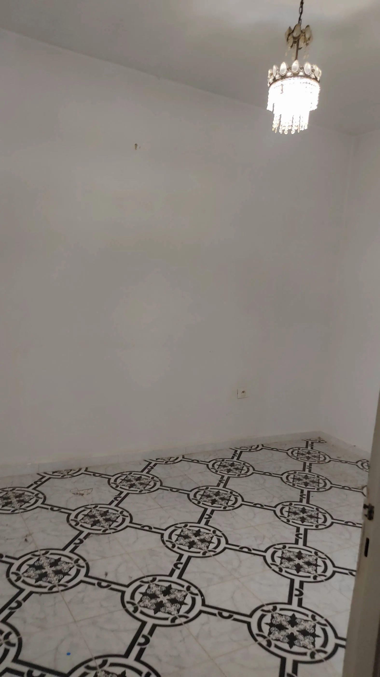 Maison s+1 a louer 