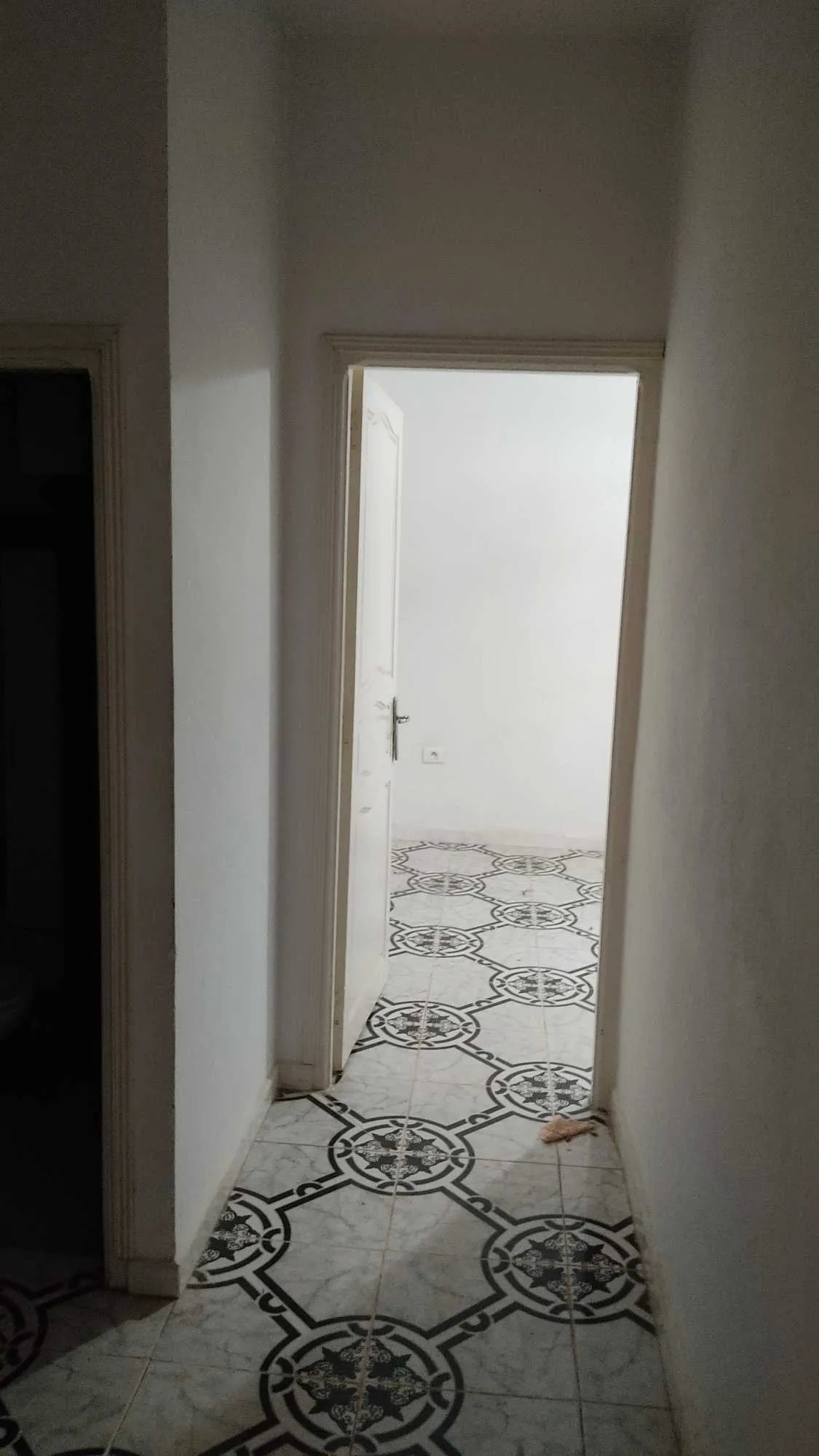 Maison s+1 a louer 