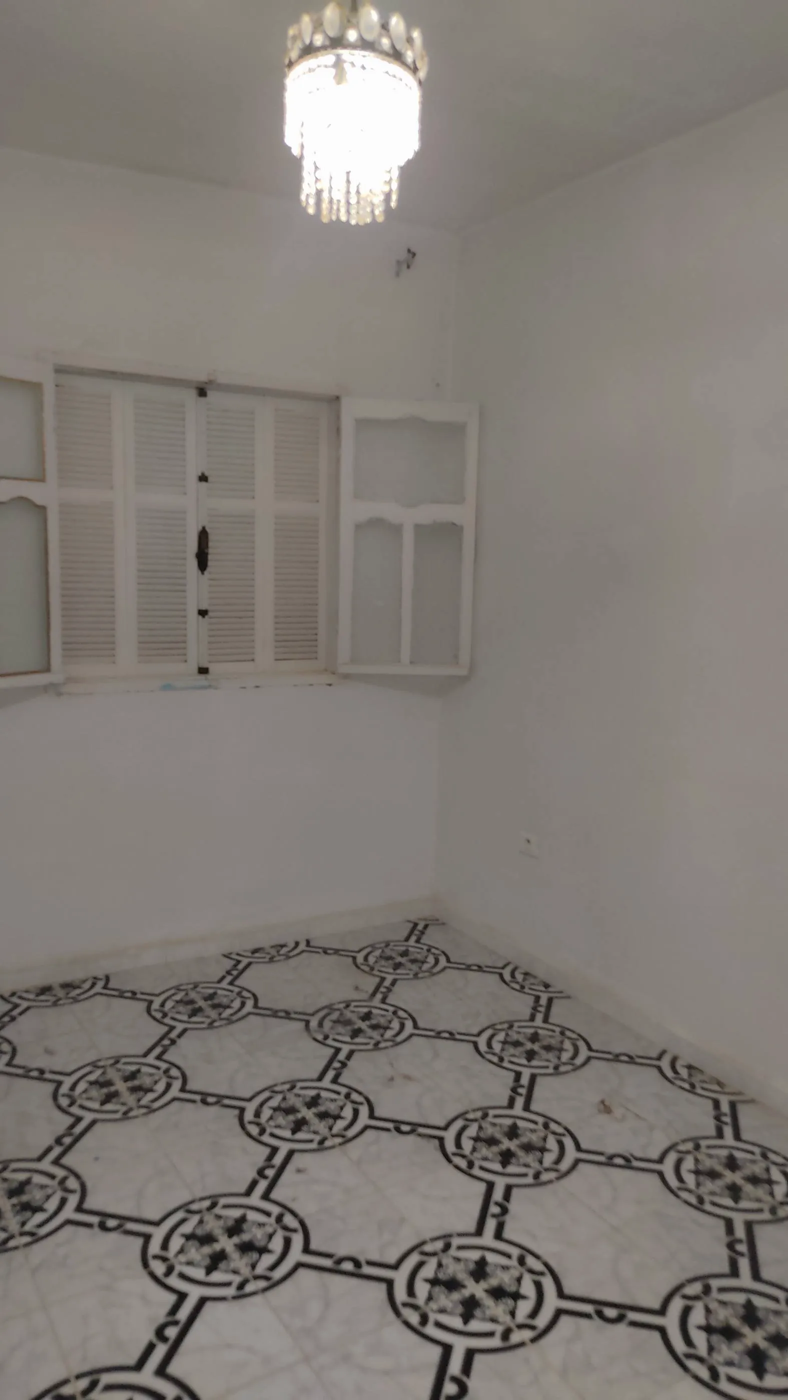 Maison s+1 a louer 